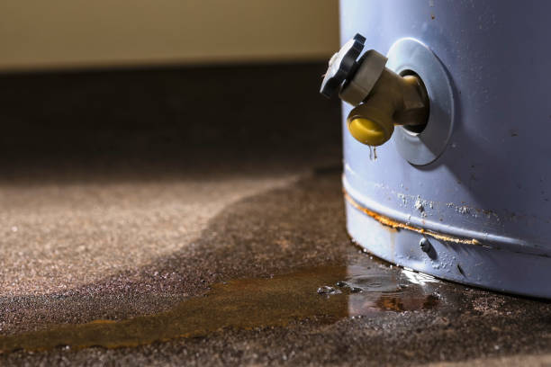 Best Carpet water damage restoration  in Beaver, WV