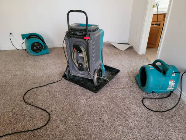 Best Water damage cleanup near me  in Beaver, WV
