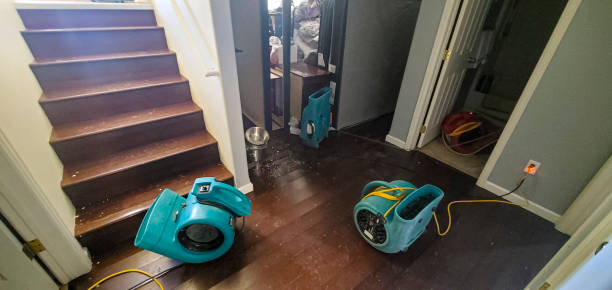 Best Flood restoration services  in Beaver, WV