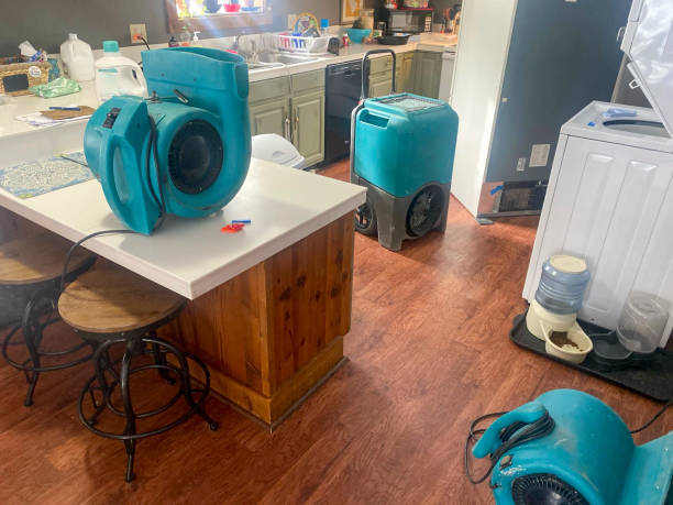 Best Carpet water damage restoration  in Beaver, WV