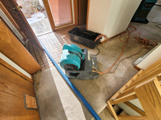  Beaver, WV Water damage restoration Pros