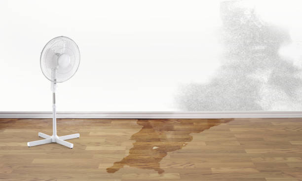 Best Local water damage restoration  in Beaver, WV