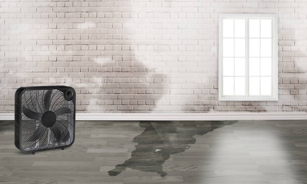 Best Water damage restoration near me  in Beaver, WV