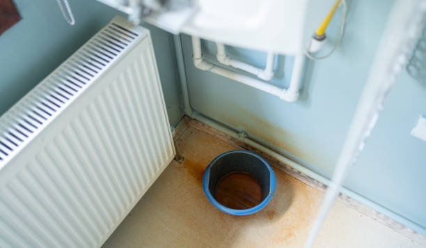 Best Sewage cleanup and water damage restoration  in Beaver, WV