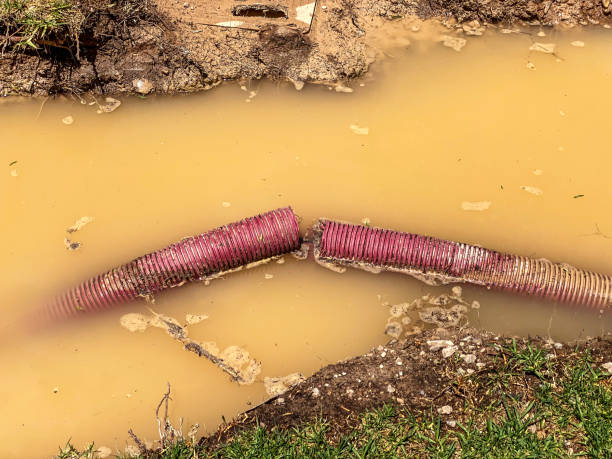 Carpet water damage restoration in Beaver, WV